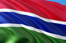 gambia flag